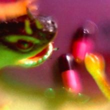 Album cover for Take the Fall by Bush Tetras