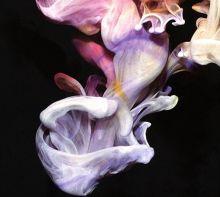 Album cover for Murmurations by Simian Mobile Disco