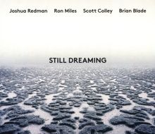 Album cover for Still Dreaming by Brian Blade / Scott Colley / Ron Miles / Joshua Redman