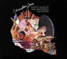 Album cover for Exotic Worlds and Masterful Treasures by Stimulator Jones