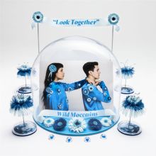 Album cover for Look Together by Wild Moccasins