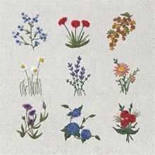 Album cover for Maybe Later by Neighbor Lady
