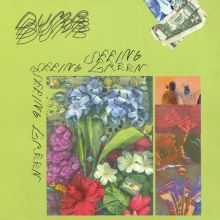 Album cover for Seeing Green by Dumb