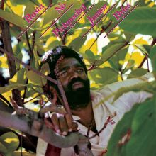 米LP Junior Byles Rasta No Pickpocket 7493 NIGHTHAWK RECORDS