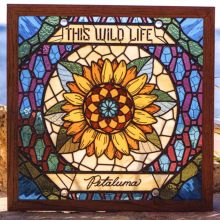 Album cover for Petaluma by This Wild Life