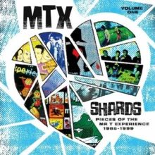 the Mr.T Experience us pop punk LP2枚セット The Mr. T Experience – Making Things With Light – Vinyl (LP