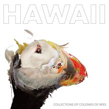 Album cover for HAWAII by Collections of Colonies of Bees
