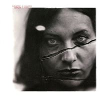 Album cover for A History of Violence by Harlan T. Bobo