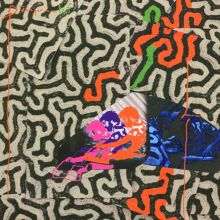 Album cover for Tangerine Reef by Animal Collective