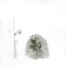Album cover for Warzone by Yoko Ono