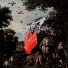 Album cover for Burn Slow by Chris Liebing