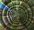 Collapse