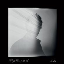 Album cover for Shades by Doyle Bramhall II