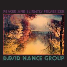 Album cover for Peaced and Slightly Pulverized by David Nance Group / David Nance