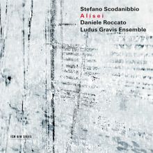 Album cover for Stefano Scodanibbio: Alisei by Daniele Roccato / Ludus Gravis
