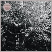 Album cover for Parallel Universe Blues by Papercuts