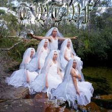 Album cover for Titles With the Word Fountain by Liars