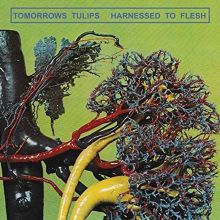 Album cover for Harnessed to Flesh by Tomorrows Tulips