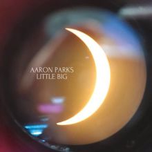 Album cover for Little Big by Aaron Parks