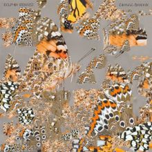 Album cover for Liminal Garden by Dolphin Midwives
