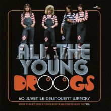 Album cover for All the Young Droogs: 60 Juvenile Delinquent Wrecks, Rock 'N' Glam (And a Flavour of Bubblegum) from the 70’s by Various Artists