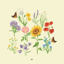 Album cover for we by gnash