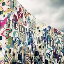 Album cover for Why You So Crazy by The Dandy Warhols