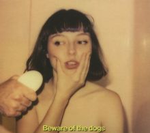 Album cover for Beware of the Dogs by Stella Donnelly