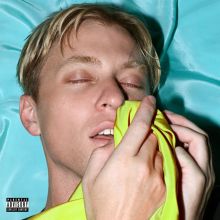 Album cover for Brutalism by The Drums