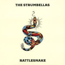 Album cover for Rattlesnake by The Strumbellas