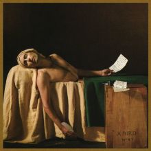 Album cover for My Finest Work Yet by Andrew Bird