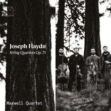Album cover for Joseph Haydn: String Quartets, Op. 71 by Maxwell Quartet