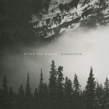 Album cover for Evergreen by After the Burial