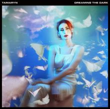 Album cover for Dreaming the Dark by Tamaryn