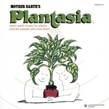 Album cover for Mother Earth's Plantasia by Mort Garson