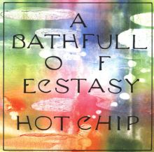Album cover for A Bath Full of Ecstasy by Hot Chip