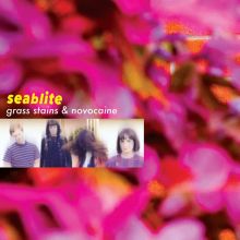 Album cover for Grass Stains & Novocaine by Seablite