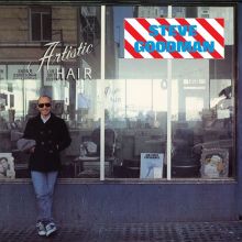 Album cover for Artistic Hair by Steve Goodman