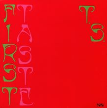 Album cover for First Taste by Ty Segall