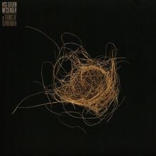 Album cover for Terms of Surrender by Hiss Golden Messenger