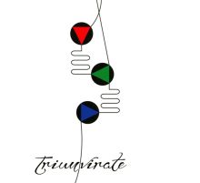 Album cover for Triumvirate by Carter Tutti Void
