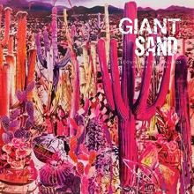 Album cover for Recounting the Ballads of Thin Line Men by Giant Sand