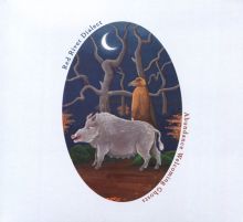 Album cover for Abundance Welcoming Ghosts by Red River Dialect