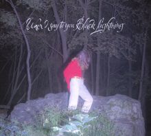 Album cover for When I Say to You Black Lightning by Common Holly