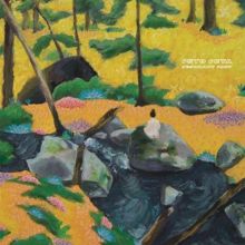 Album cover for Resonant Body by Octo Octa