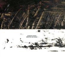 Album cover for Sweating the Plague by Guided by Voices