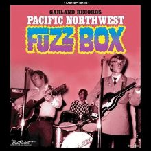 Album cover for Pacific Northwest Fuzz Box by Various Artists