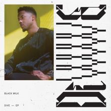 Album cover for DiVE by Black Milk