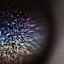 Album cover for Blossoms by Emptyset