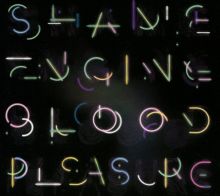 Album cover for Shame Engine/Blood Pleasure by Health&Beauty